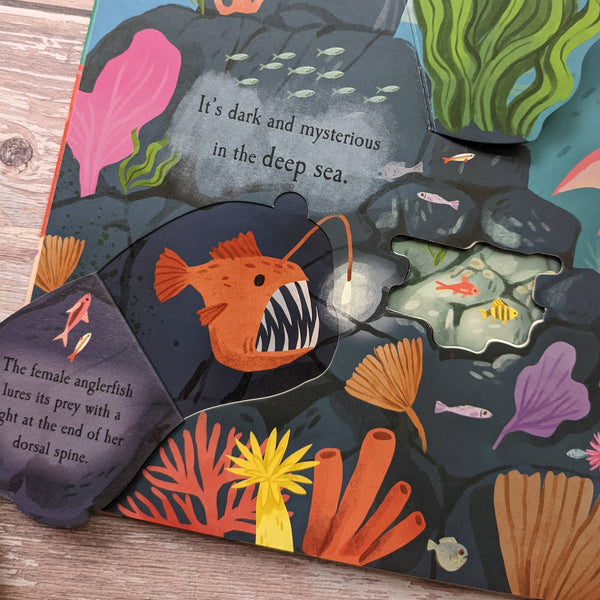 Nature Die Cut Book - Ocean