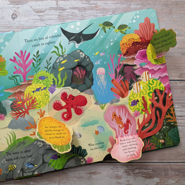 Nature Die Cut Book - Ocean